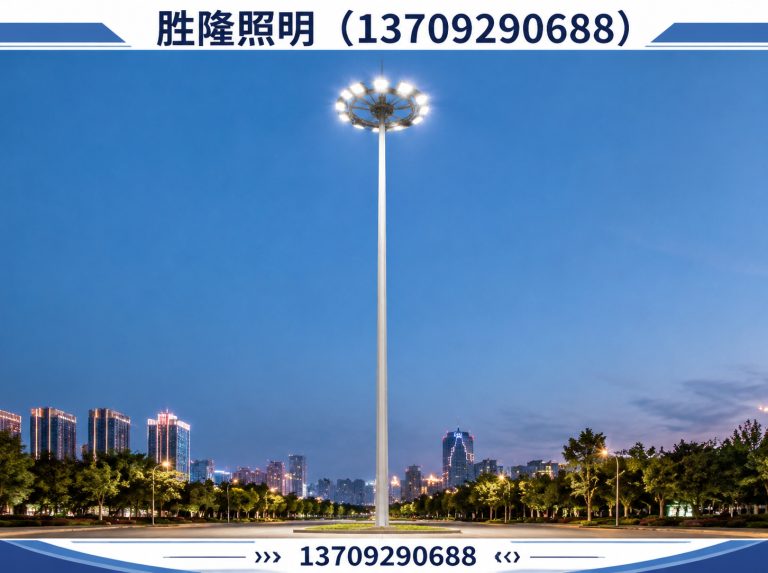 西安LED路灯展示图